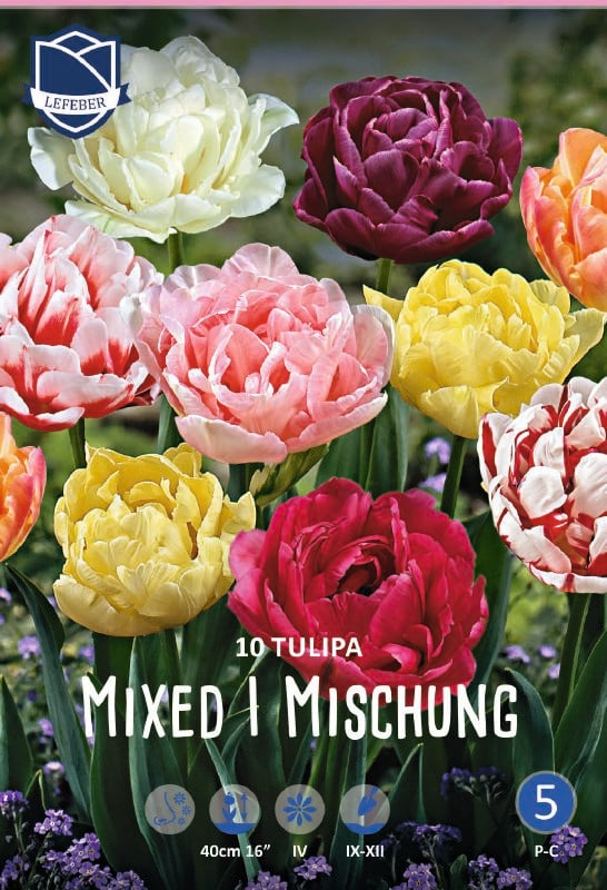 Tulpe Gef Llte Sp Te Mischung St Ck